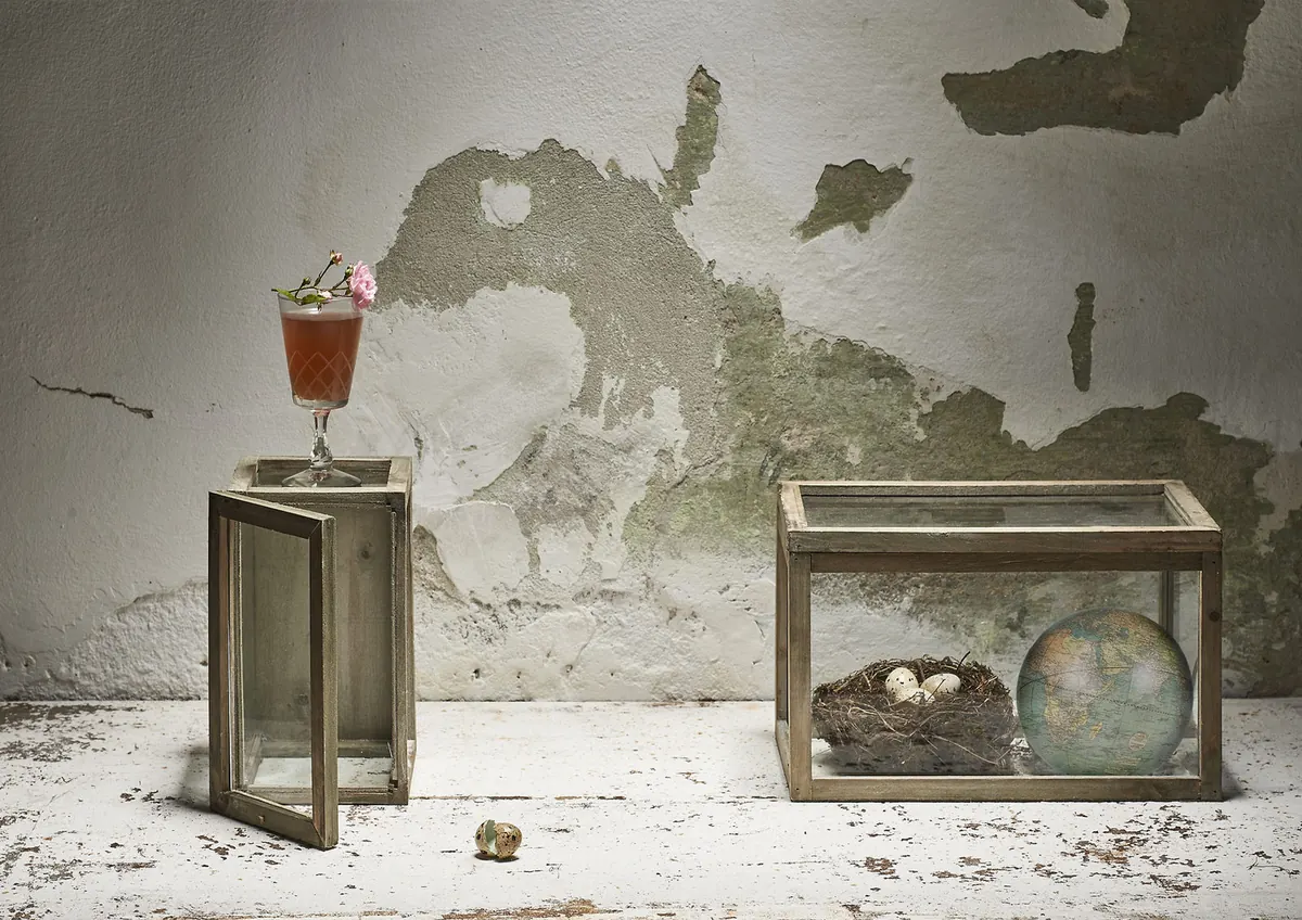 Wild cocktail