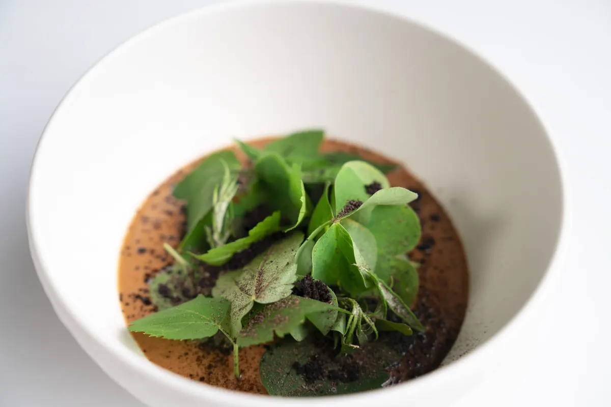 Zuppetta di frutta selvatica, erbe selvatiche, polvere di funghi, terra di radici e olio aromatico